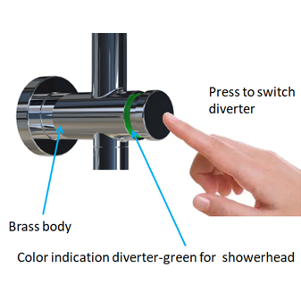 Shower System with button 